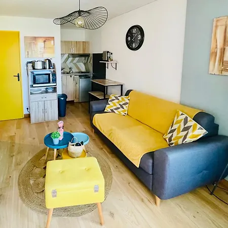 Apartment Le Cosy Des Goelands, T2 Proche De La *